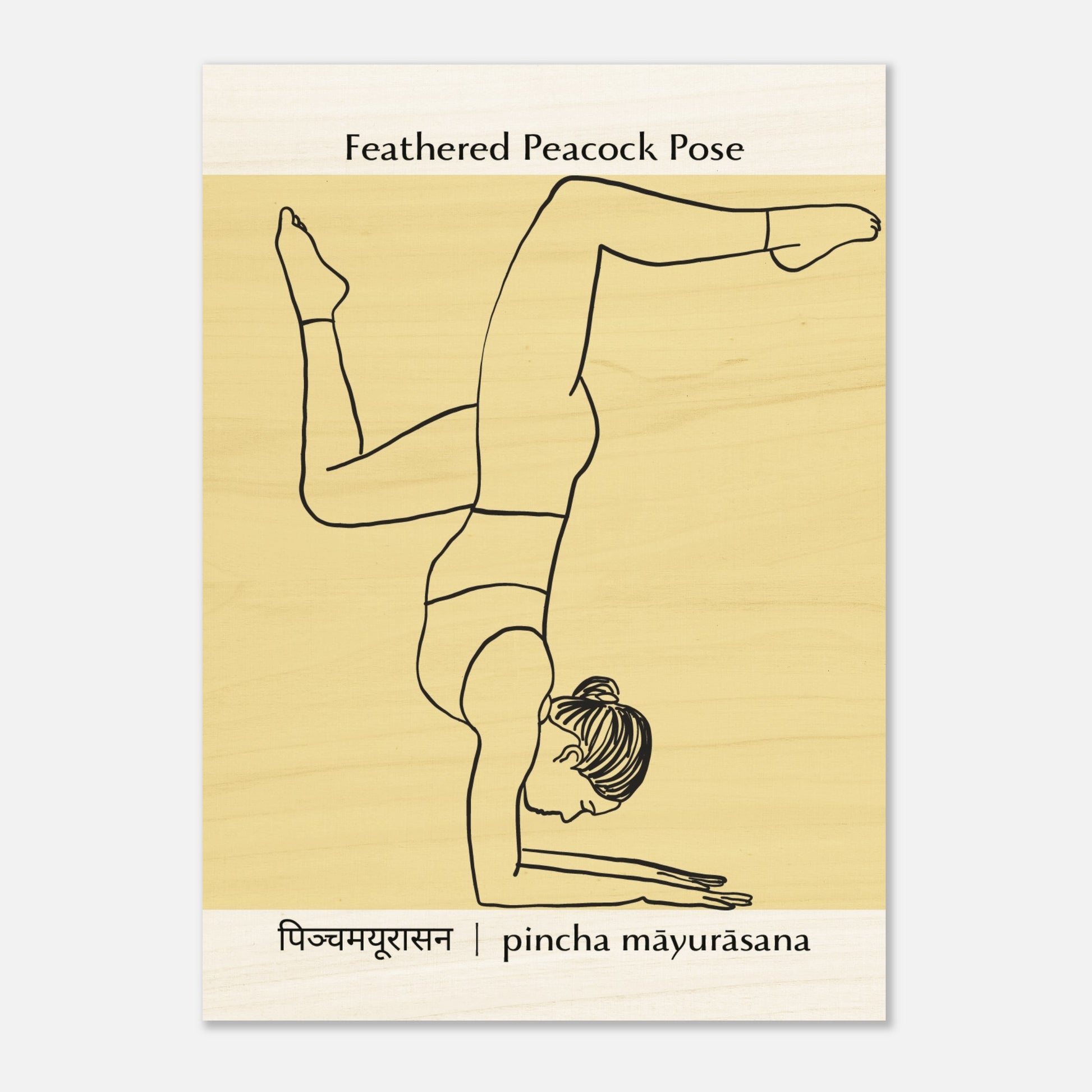 c55de301-b37e-4a88-8b3e-a282e6eb18da